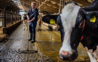 'Mestverwerking wordt een mestkeuken om het land goed te voeren'
