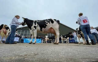 Arjen Peters (WUR) wint NK Veebeoordelen voor studenten