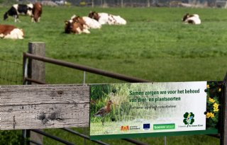 'Tot 150.000 hectare extra natuur nodig, boerennatuur geen volwaardig alternatief'