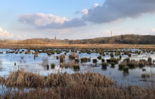 Miljoenen voor behouden zoet water op Brabantse Wal