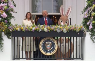 Amerikaanse eierprijzen zijn meer dan gehalveerd
