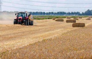Onbestendig weer maakt stro iets duurder