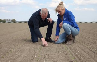 Inspiratieboeren maken netwerken effectief
