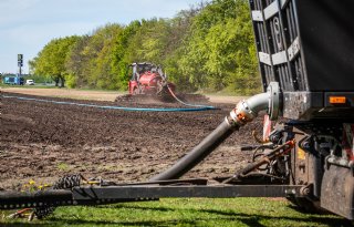 Veehouder betaalt belangrijk deel van inkomen akkerbouwer