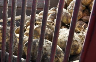 Provincies willen door met Biodiversiteitsmonitor Akkerbouw