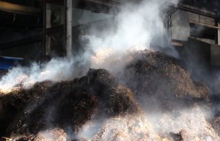 Prijswinnende stikstofinnovatie kan 60 procent ammoniakemissie voorkomen