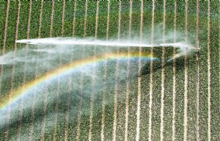 Brabantse waterschappen stellen per direct onttrekkingsverboden in