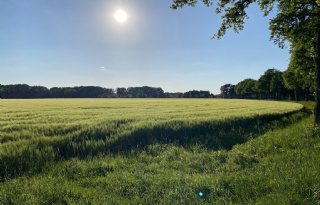 LTO Nederland stelt twee nieuwe bestuurders aan