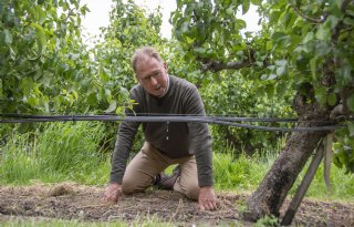 Fruitteler hoeft dankzij bassin geen schietgebedjes meer te doen voor regen