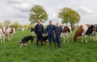 Groot Nibbelink wint Agroscoopbokaal Melkvee met flinke stijging vet en eiwit