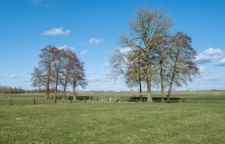 Lagere CO2-uitstoot door peilbeheer in Groninger ommeland