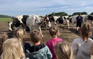 Kinderen leren over het leven op de boerderij
