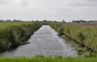 Waterschap laat rioolwater in sloten om droogte te bestrijden
