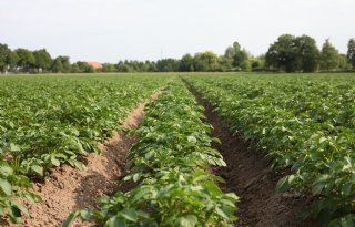 Grondprijs kan tot op de laatste kilometer verschillen