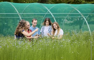 HAS-studenten: effect biostimulanten in vlas afhankelijk van klimaat en omgeving