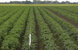 Subsidie voor duurzaam waterbeheer op boerengrond in Zuid-Limburg