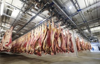 Vleesverwerker Vion draait dit jaar beter dan verwacht