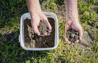Proef De Marke: meer maisopbrengst door klei op zand