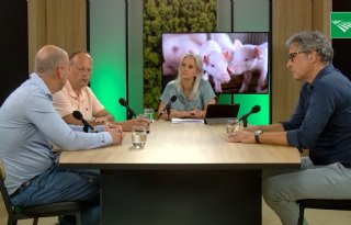 Varkenshouders zijn druk met toekomstplannen