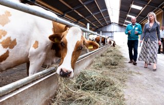 'Convenant dierwaardige veehouderij is beste optie voor veehouder'