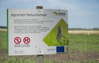 Agractie wil geen 'subsidie-infuus' van NSC, NAJK mist jonge boeren