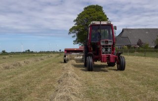 POAH! International 585XL