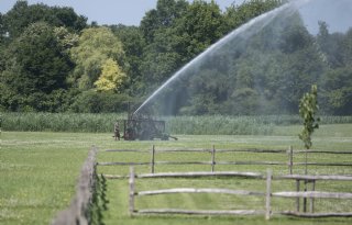 Zomerhitte: alle hens aan dek bij veehouders