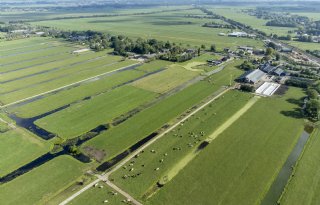 'Nieuwe regering moet lef tonen bij keuzes over toekomst landbouw'