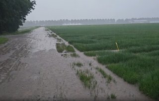 Ernstige regenval zorgt voor overlast in Noordoostpolder