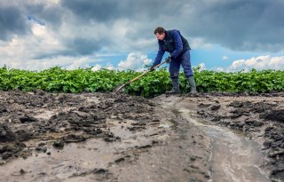 Flevolandse akkerbouwer graaft greppels na een muur van regen