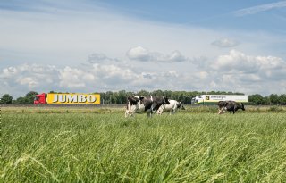 Stoppersregeling heeft effect, maar stikstofdoelen blijven uit zicht