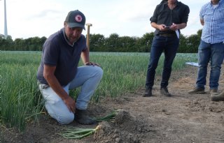 Hutspotproject: biologische aardappelen, peen en uien constant in schappen