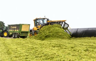 Vroege oogst erwten en gerst zorgt voor kwart meer opbrengst