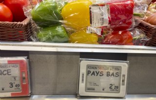 'Agrarische exportgroei landt niet op het boerenerf'