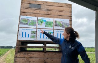 Nieuwe zaadbehandeling bieten biedt meerwaarde