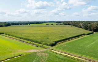 Prijsstijging van 2 procent voor landbouwgrond is voor iedereen gezond