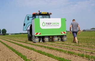 Onkruid verdelgen met spotsprayer en heet water