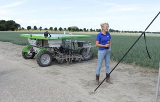 Onkruidbestrijding met veldrobot werkt bijna perfect