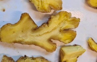 Extra controle verse gember vanwege kans op bruinrot