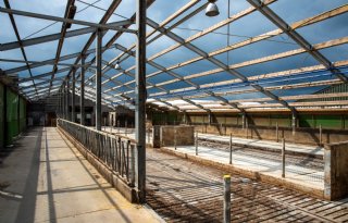 Mogelijk meer budget voor vrijwillige stoppers in Fryslân