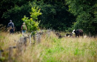 Minimaal 100.000 hectare natuur erbij om milieudoelen in 2050 te halen