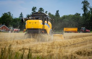 Raming wereldwijde tarweproductie iets omlaag