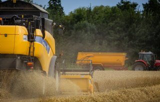 Plantaardige olie duurder, graanprijs verder onder druk