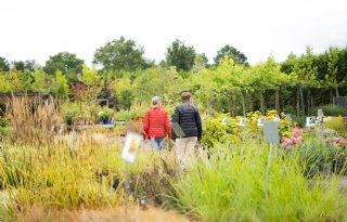 Boerenfietstocht is meer dan een rondje fietsen door Drenthe