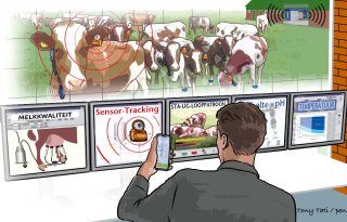 Hoe meer databronnen, hoe betrouwbaarder informatie over koegezondheid