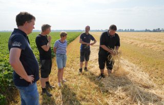Flevolandse telers pakken normoverschrijdingen gezamenlijk aan