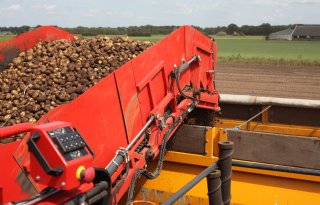 Zonder afzet geen groei voor biologische aardappelen: langjarige afspraken nodig