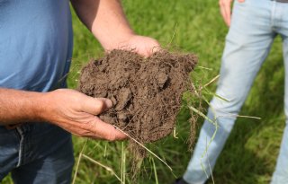 Stel renderend gewas centraal in 'boostjaar'