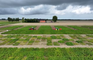 SPNA legt meerjarige proef loofdoding aan