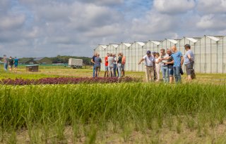 Bollenstreek in Bedrijf trekt veel bezoekers
